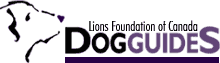 Lions Foundation of Canada logo